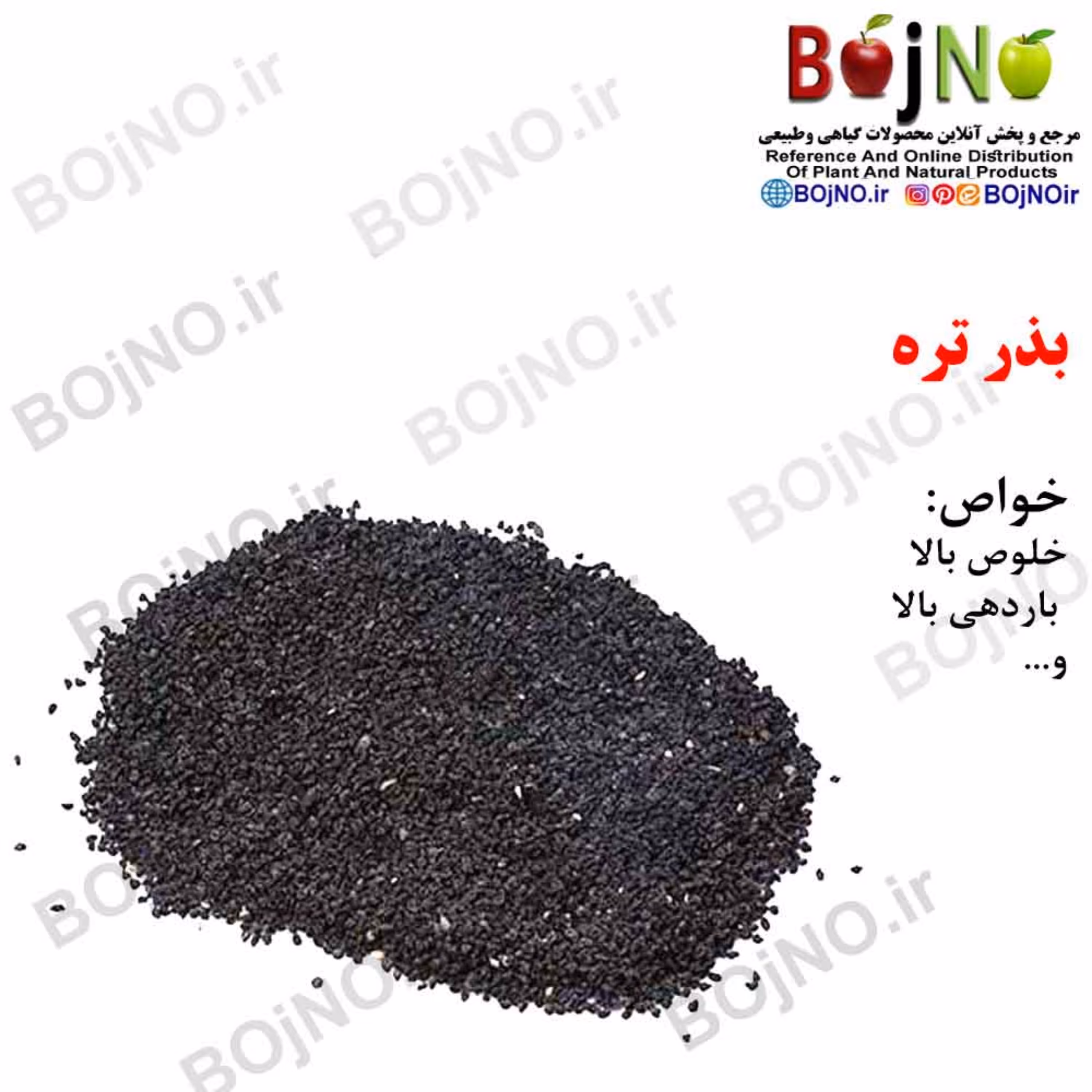 بذر تره (بسته 50گرمی)