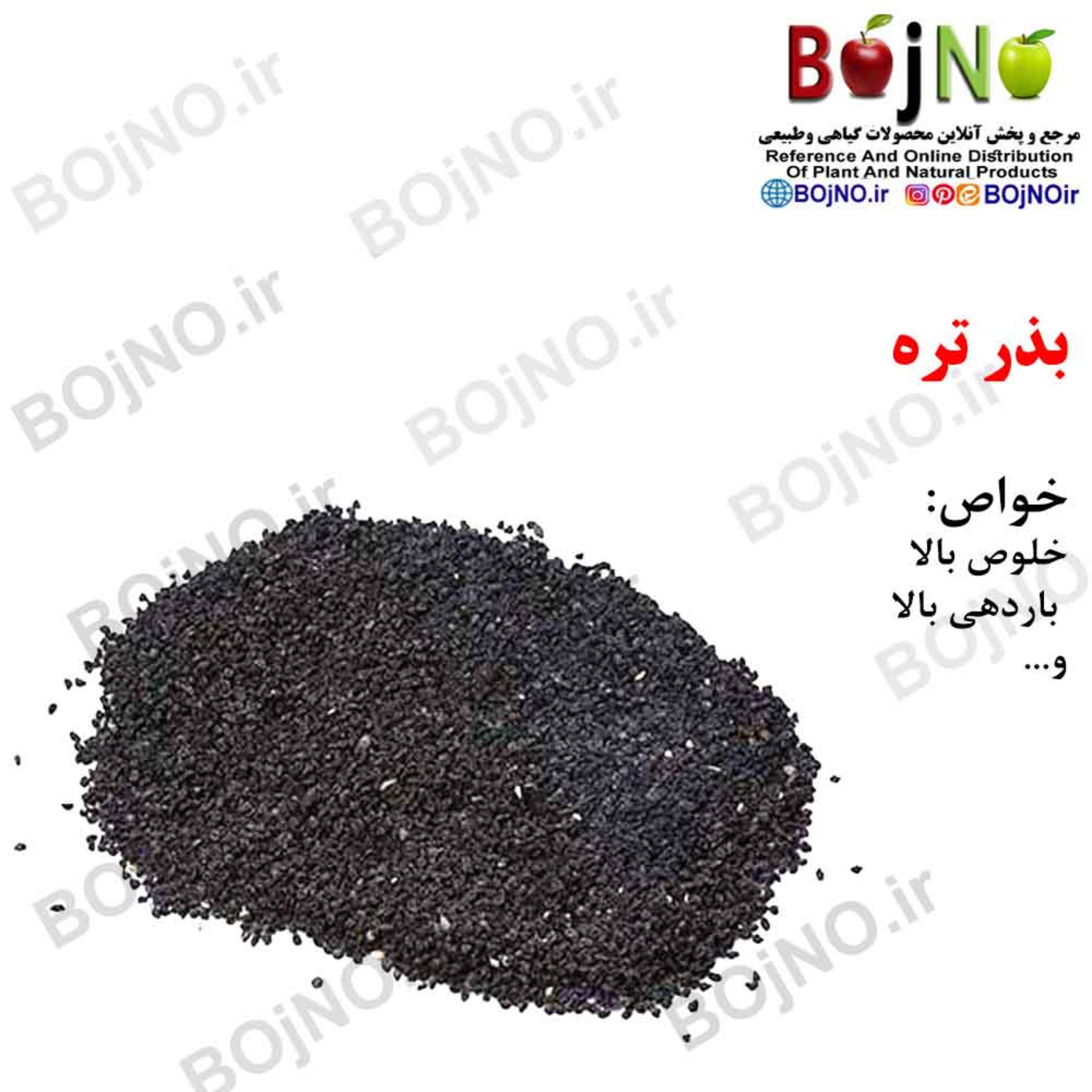 بذر تره (بسته 50گرمی)