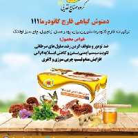 دمنوش گیاهی قارچ گانودرما 111 بسته 20 عددی