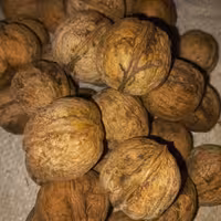 گردو بدون پوست امساله مغز سفید پوست کاغذی همدان(دوکیلویی)