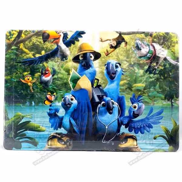 پازل ریو 35 تکه کد 290