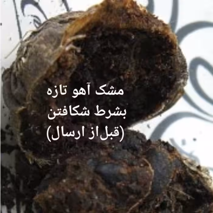 مشک آهو تازه نرم و خیس بشرط اصالت مشک اهو اصلی مسک اهو مشک جیوه ای اصل بخور مشک طبیعی مشک خیس مشک عنبر اهو فروشگاه عود