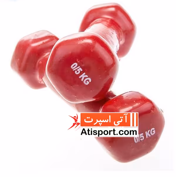 دمبل ایروبیک رکورد نیم کیلوگرم یک جفت