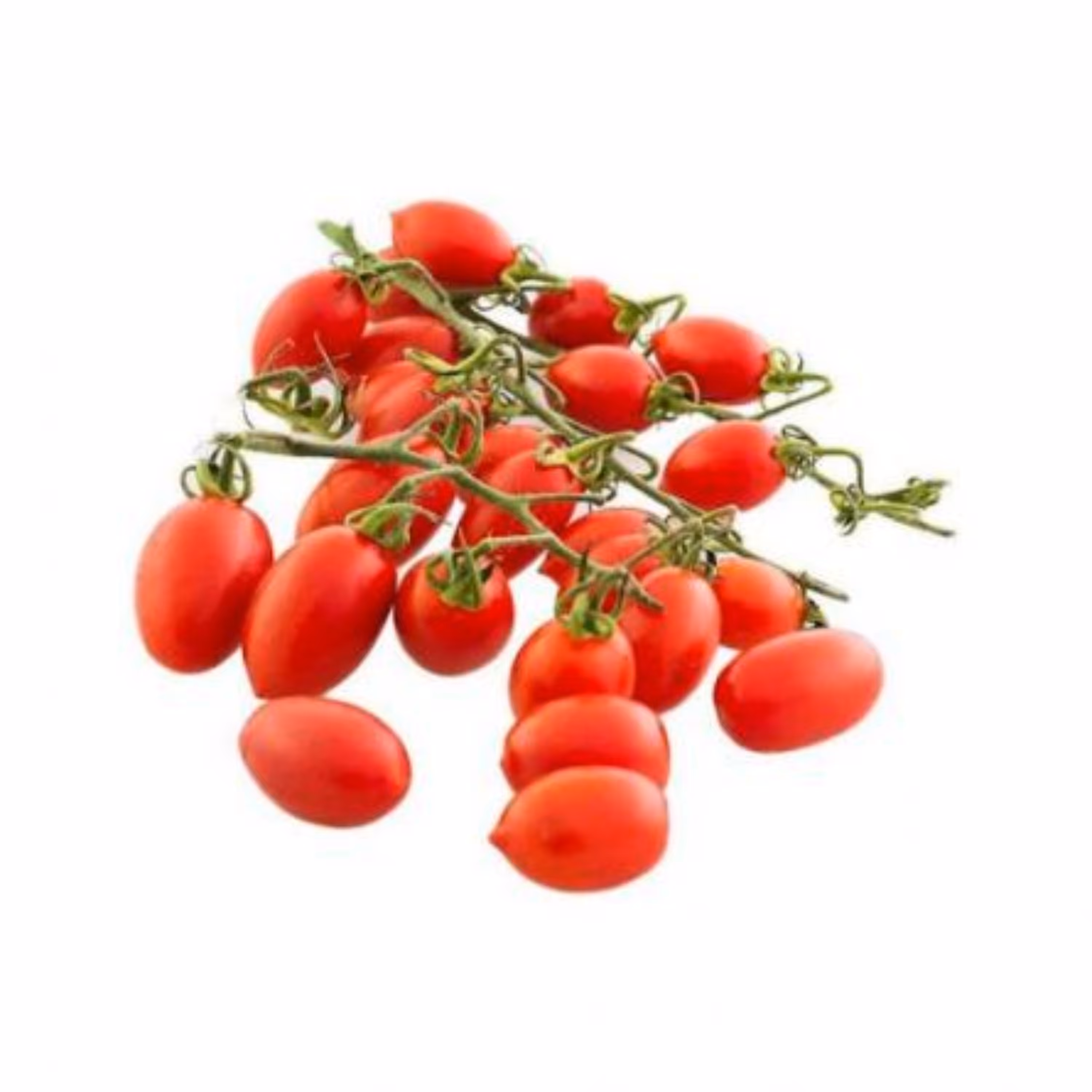 بذر گوجه چری زیتونی قرمز 20 عددی 