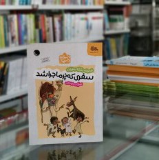 کتاب سفری که پر ماجرا شد نوشته بنفشه رسولیان با تصویرگری مرضیه قائدی