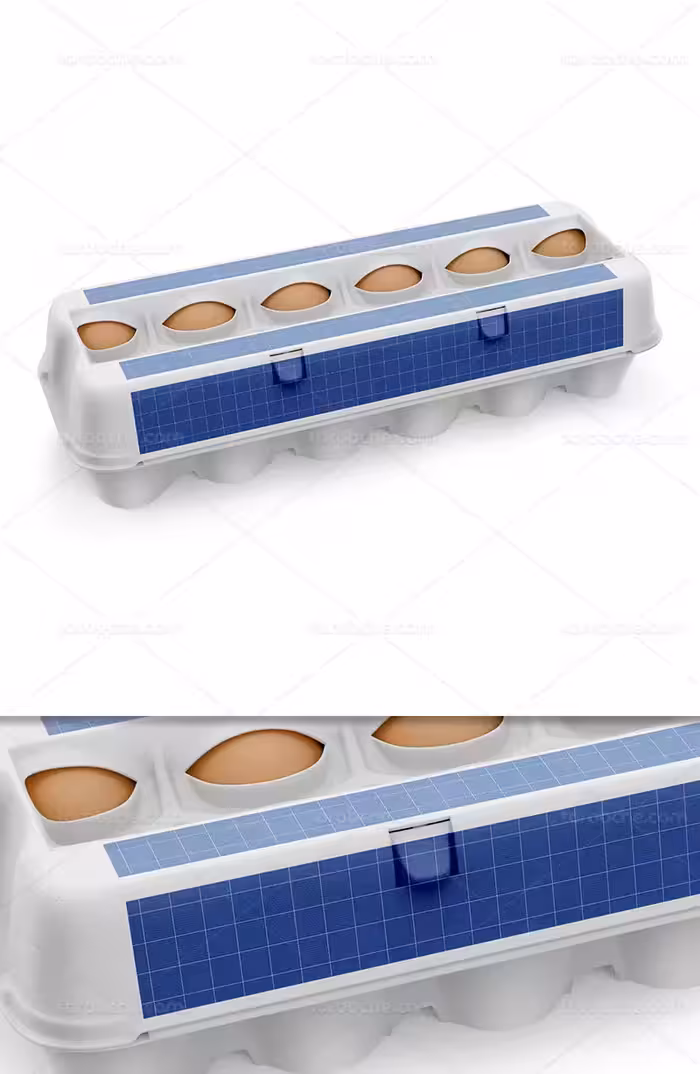 موکاپ بسته بندی تخم مرغ لایه باز | گرافیک با طعم تربچه