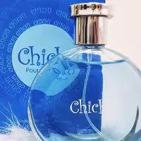 ادکلن مردانه چی چی آبی اصل