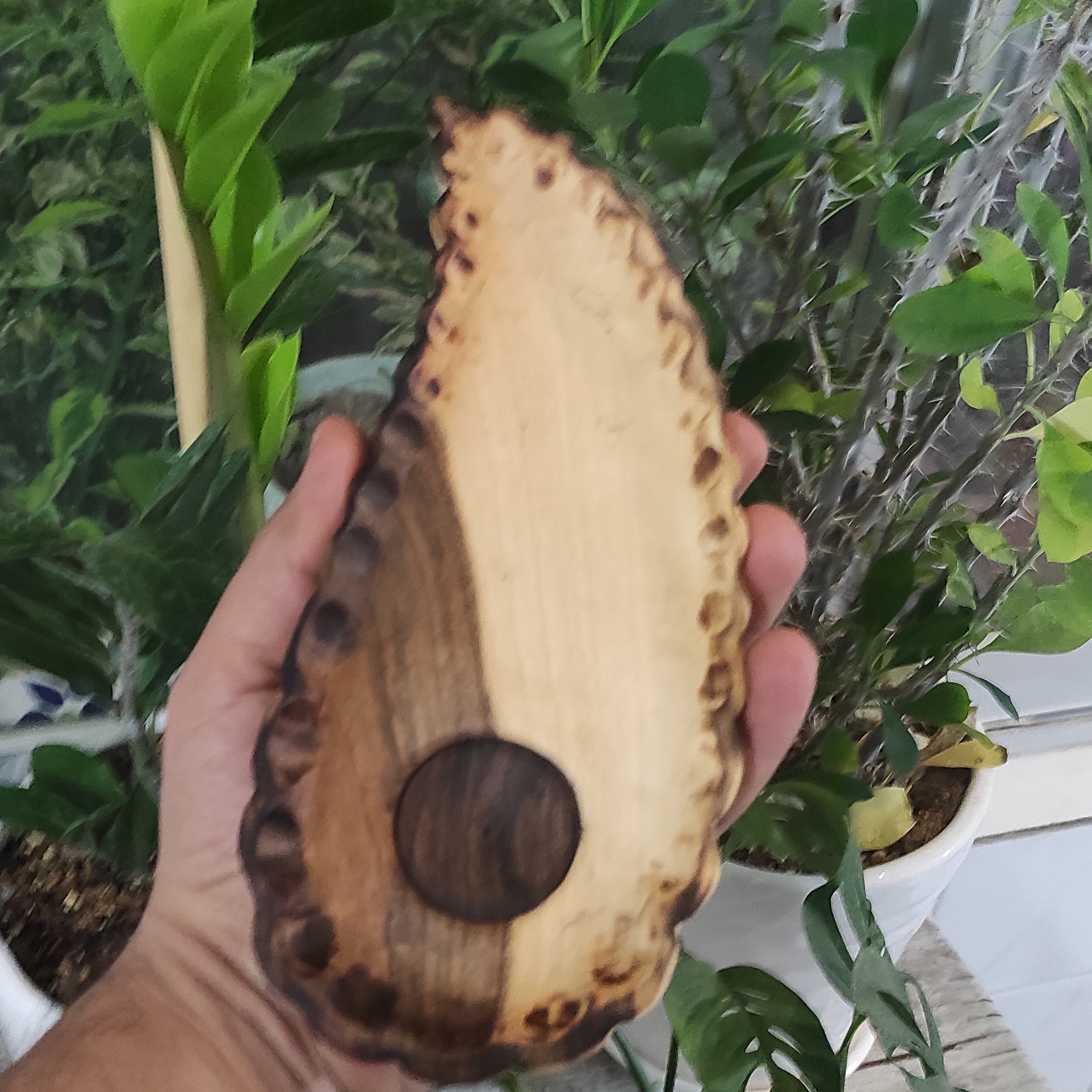 ظرف شکلات