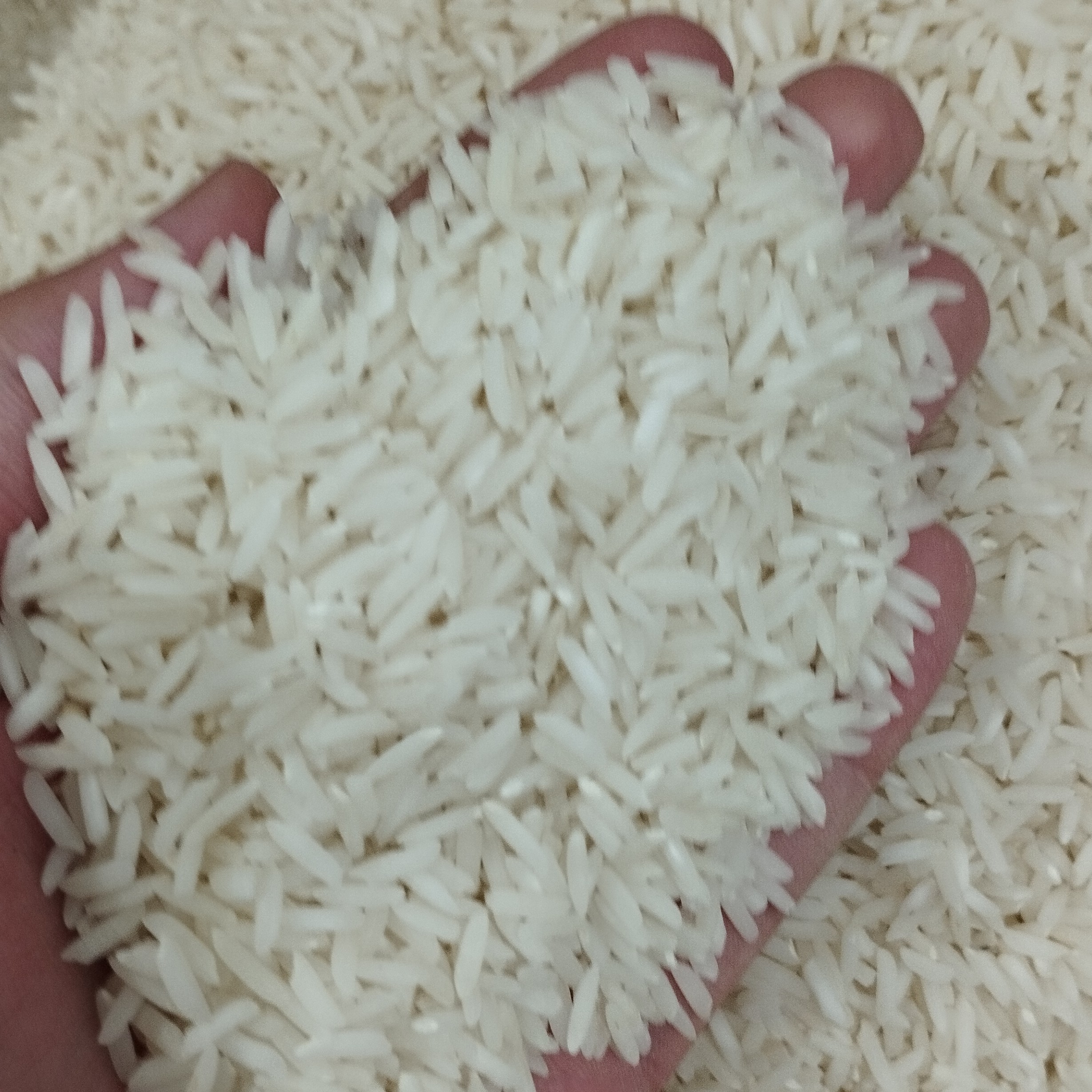 برنج هاشمی 5کیلویی