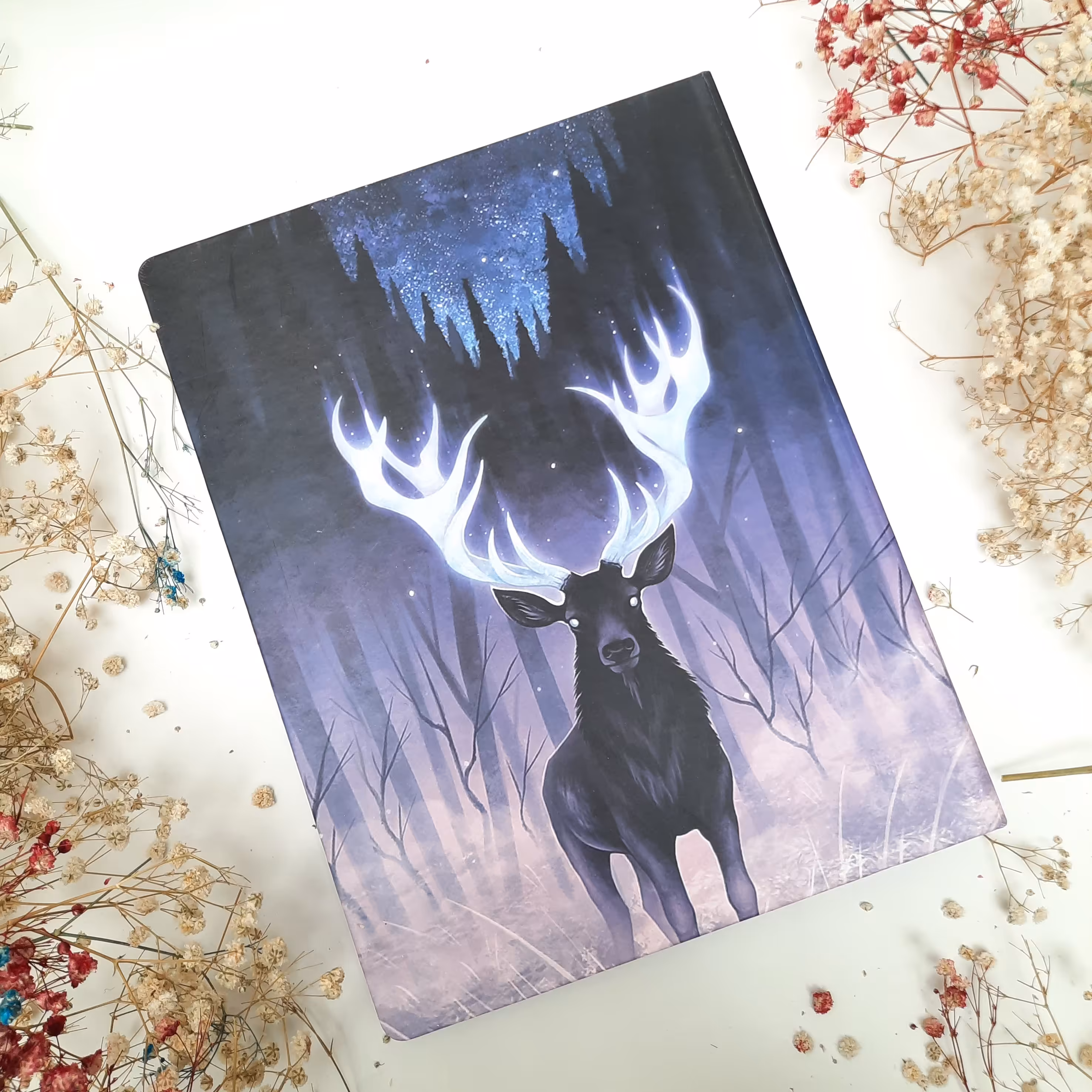 کلاسور سویل