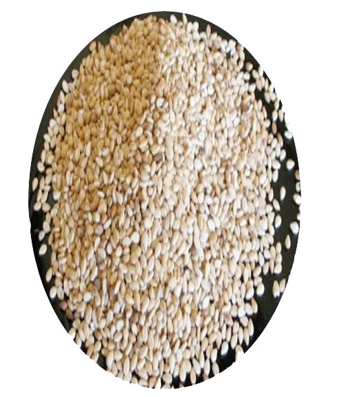 روغن ماساژ کنجد