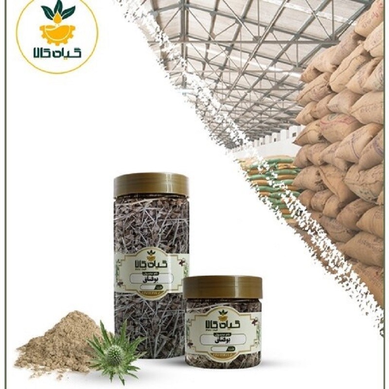 بوقناق با کیفیت عالی، بار امسالی و تازه(65 گرمی )