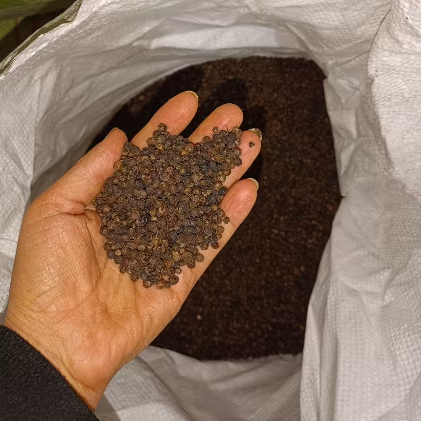  فلفل سیاه (نیم کیلویی) هم دون، هم آسیاب شده، درجه یک تمیز با بالاترین عیار مارک توبک