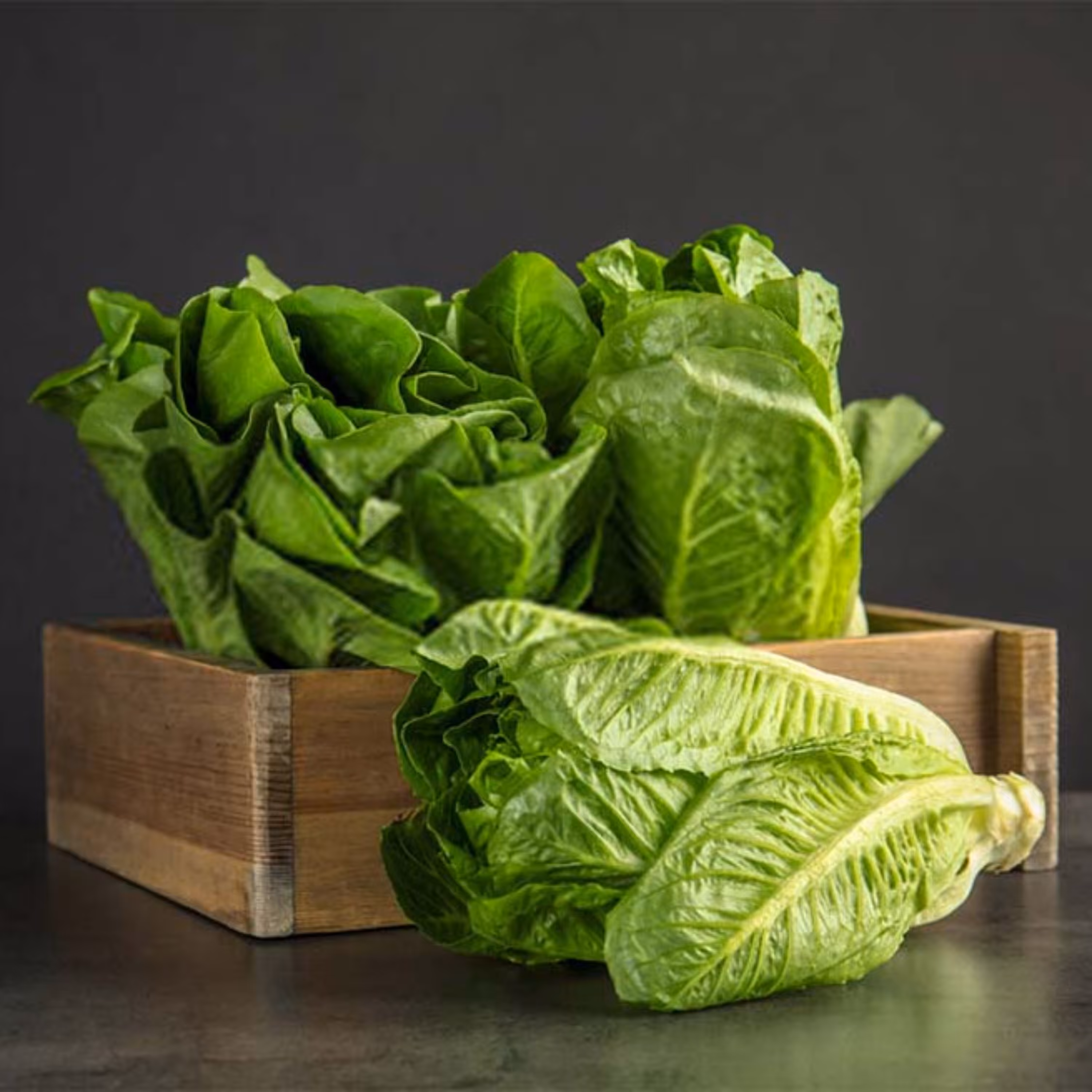 بذر کاهو بلند درشت هد آمریکایی بسته 200 عددی