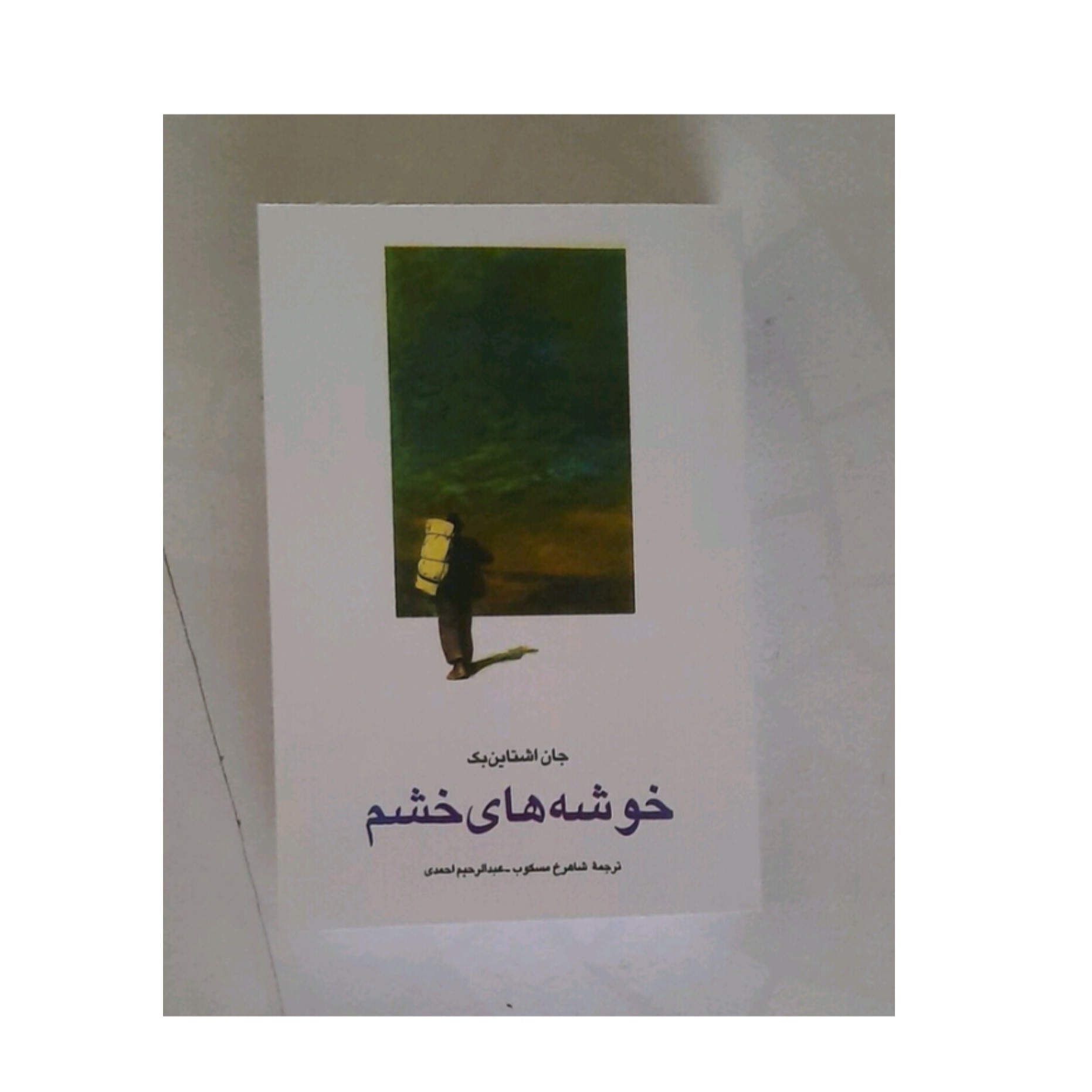 کتاب خوشه های خشم اثر جان اشتاین بک