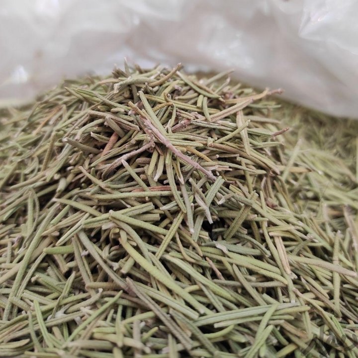 رزماری تازه و درجه یک بسته 50 گرمی ارسال رایگان