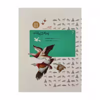 کتاب پرنده بی لانه اثر مرضیه طلوع اصل انتشارات کانون پرورش فکری کودکان و نوجوانان