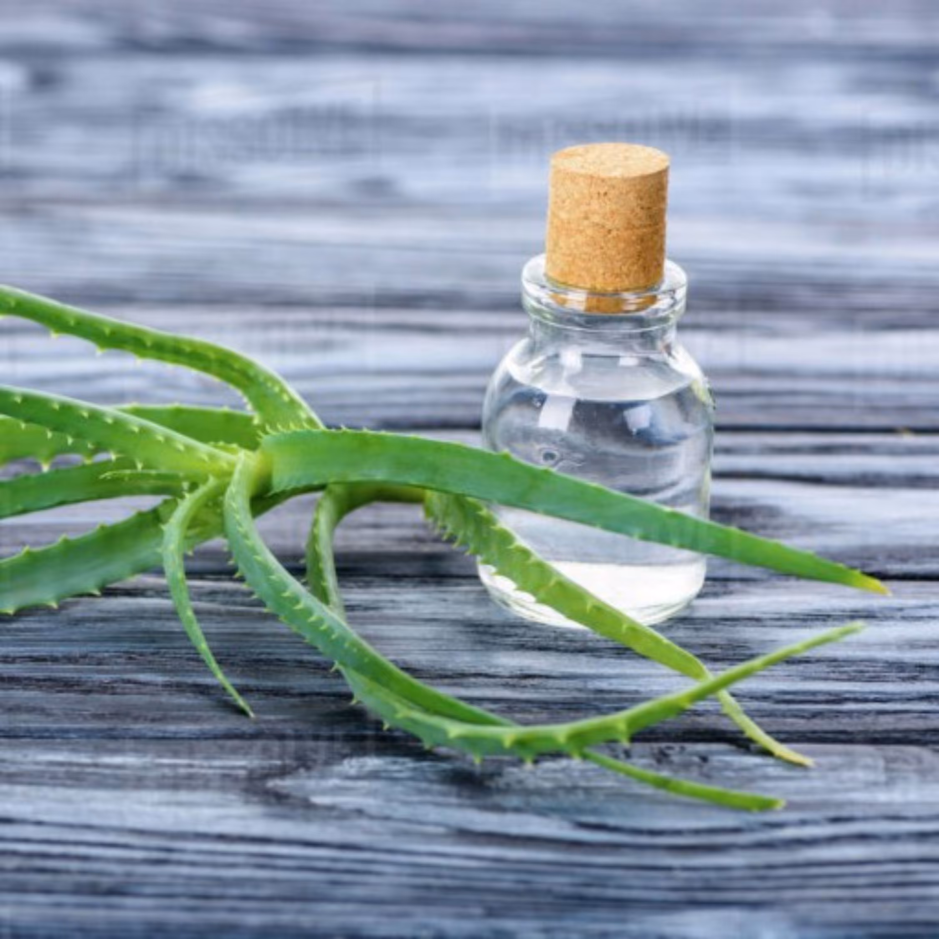 اسانس آلوئه ورا مایع درجه یک در بسته بندی 500 گرمی