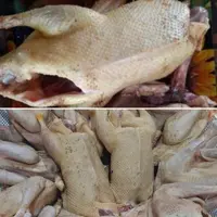 اردک گوشتی محلی