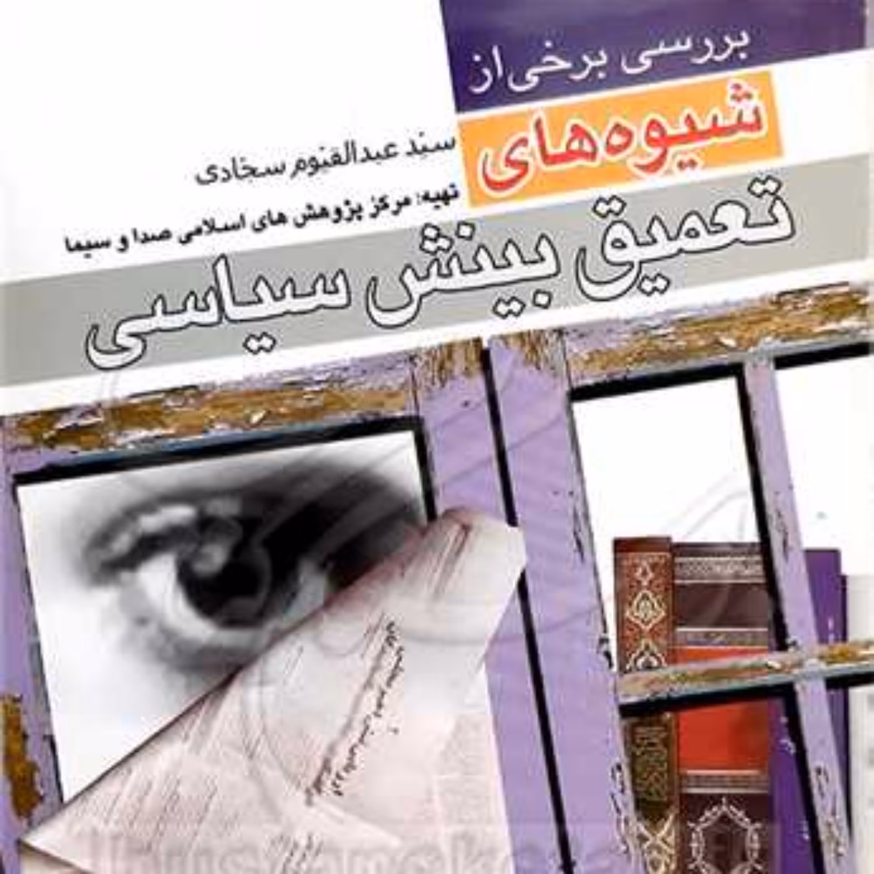 کتاب بررسی برخی از شیوه های تعمیق بینش سیاسی