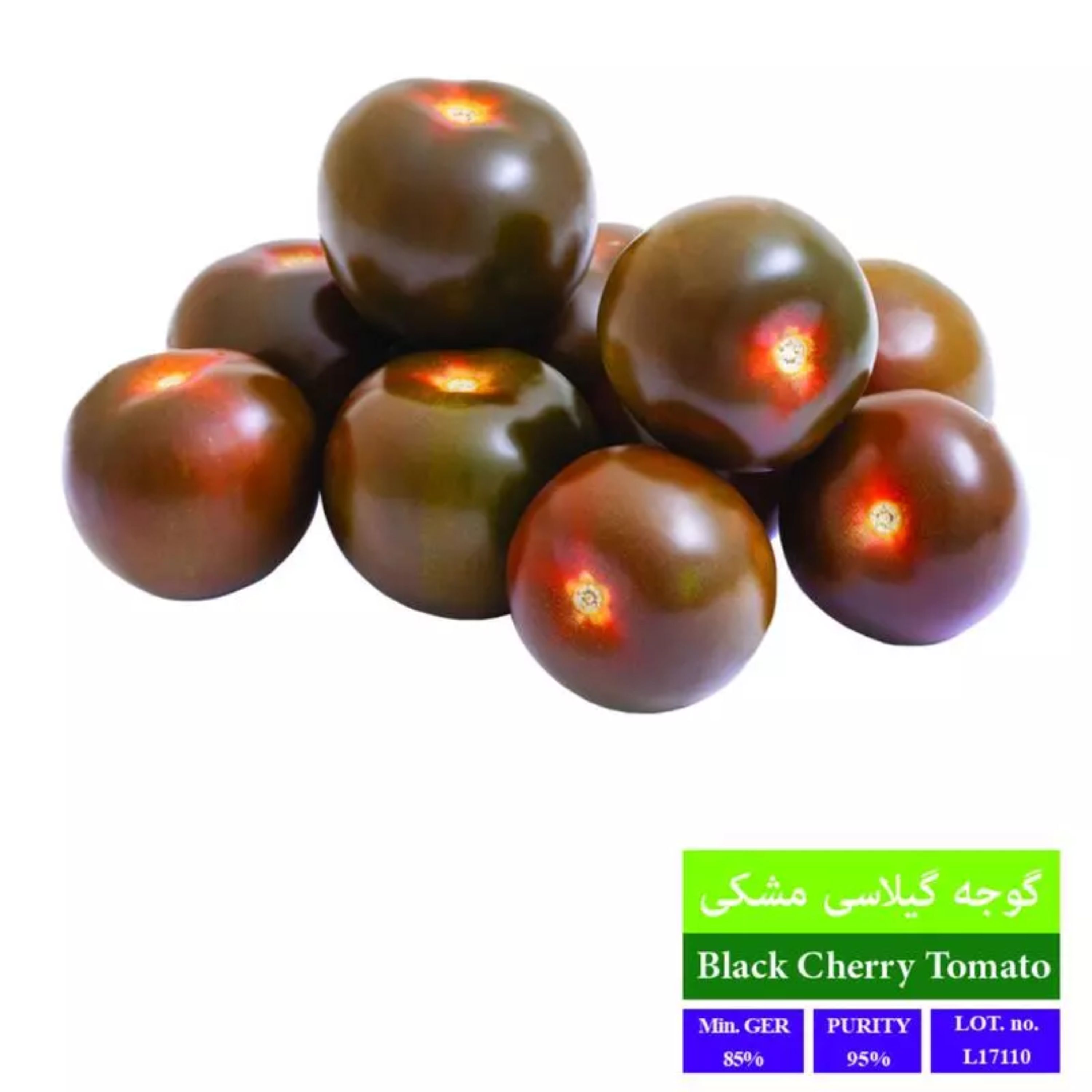 بذر گوجه گیلاسی مشکی بذر طلایی رویان