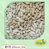 لوبیا کشاورزی