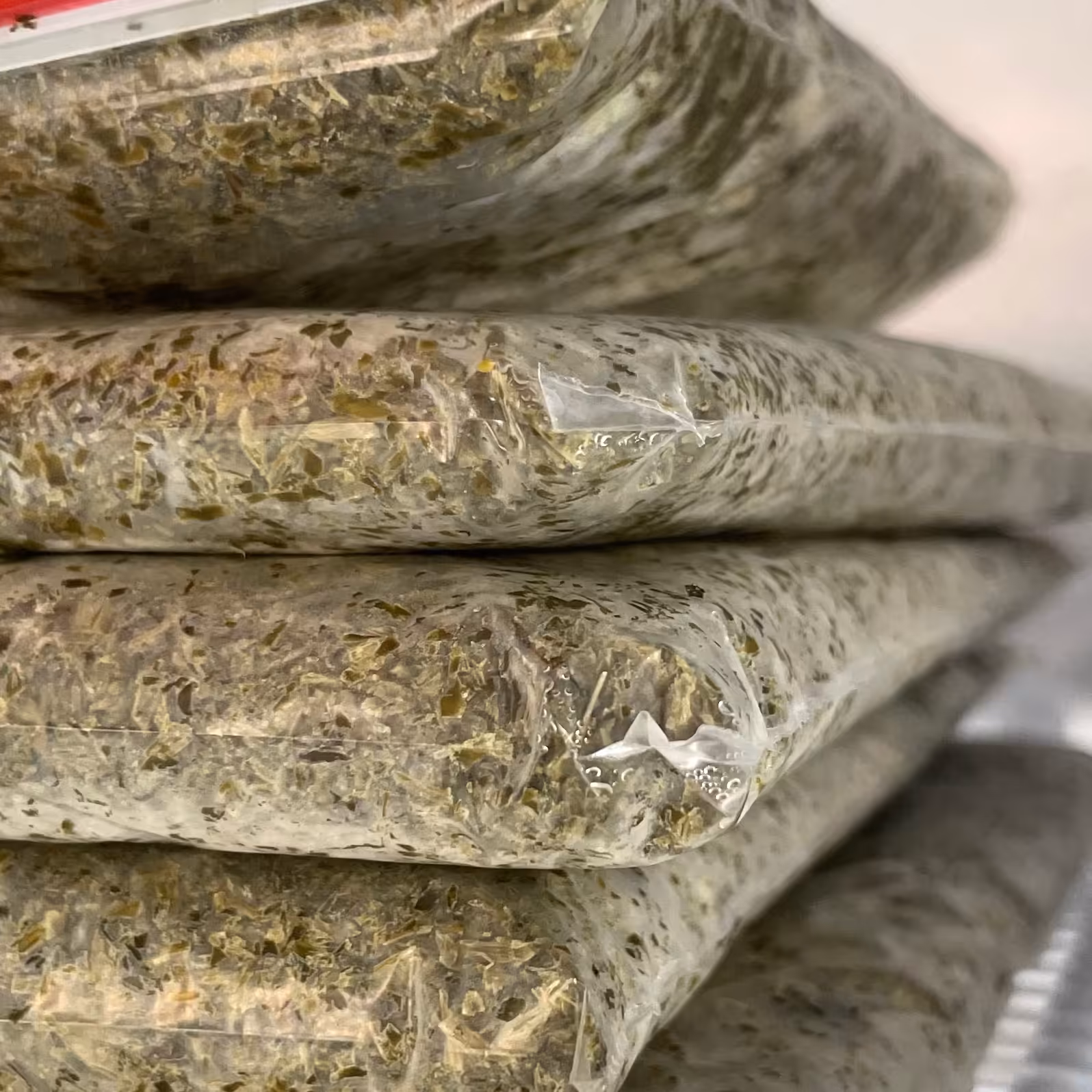 سبزی قرمه سرخ شده بسته های نیم کیلویی تازه و خانگی