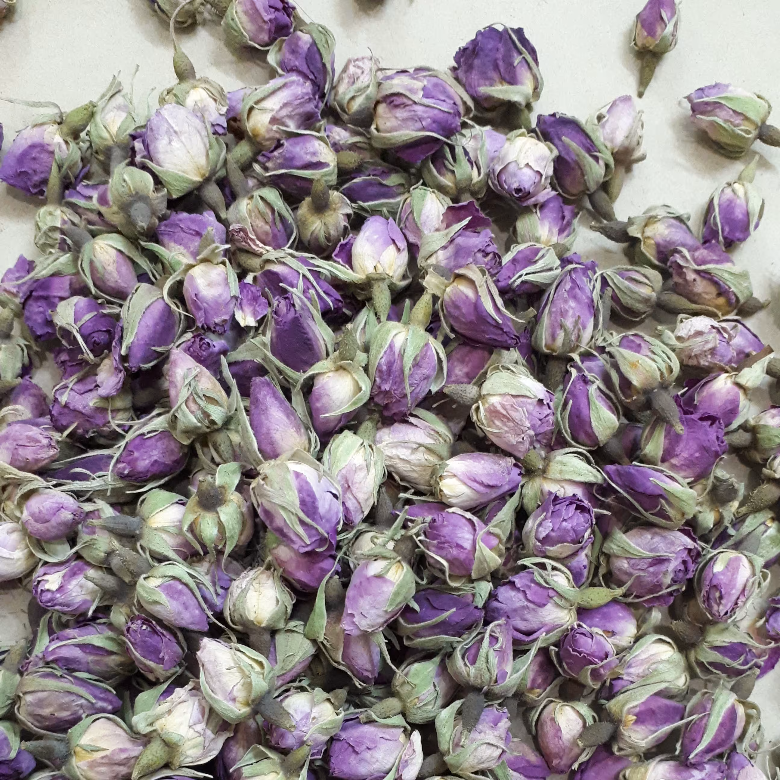 غنچه گل محمدی،بسیار معطر،بسته های 20 گرمی