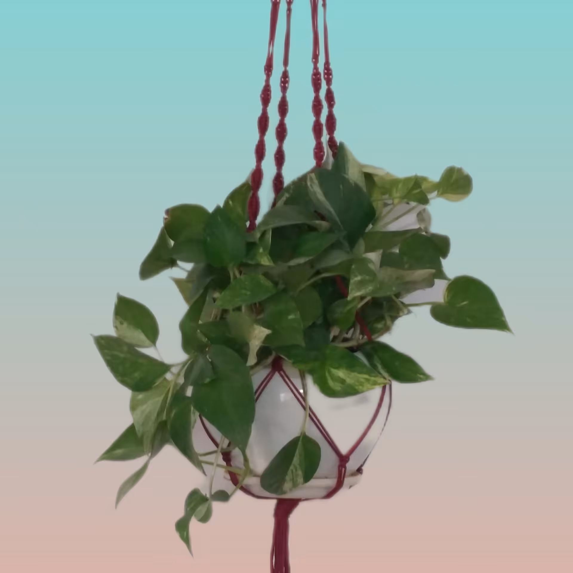 گل آویز مکرومه 