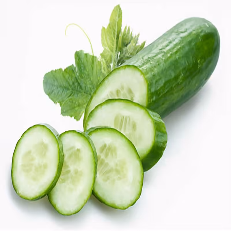 بذر خیار بوته ای اصلاح شده