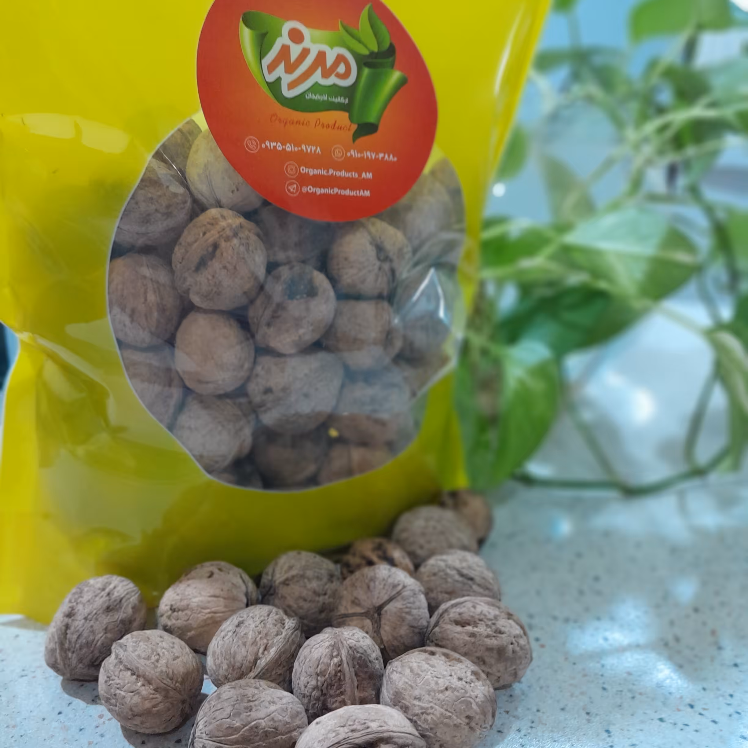 گردوپوست کاغذی1کیلویی آذربایجان مرند