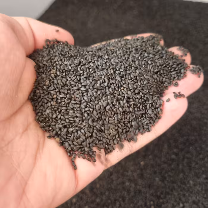 تخم شربتی یا ریحان شربتی  تمیز و درجه یک بسته بندی شده 