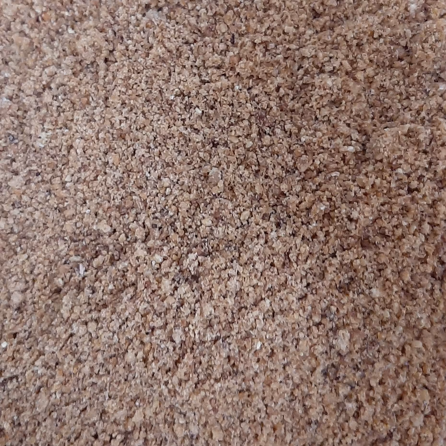 معجون انجیر  و کنجد  تازه  در بسته بندی های 10 کیلوگرمی 