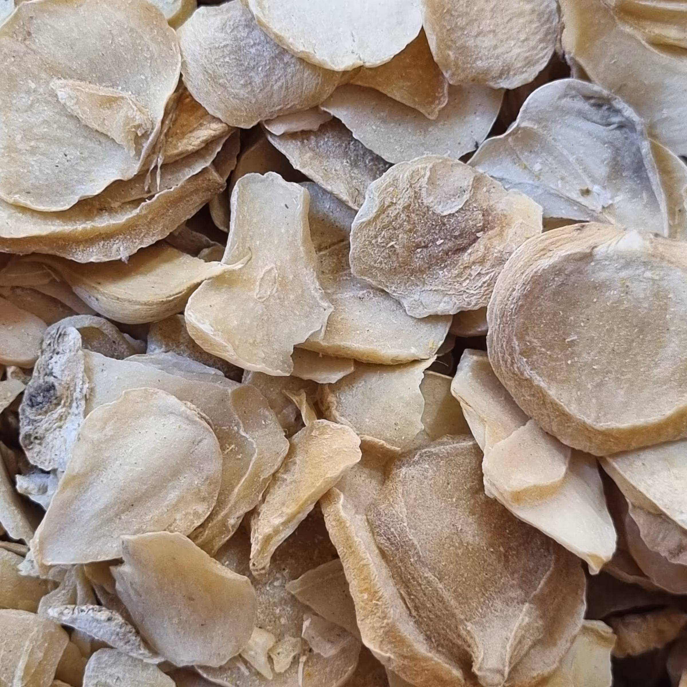 موسیر 100 گرم