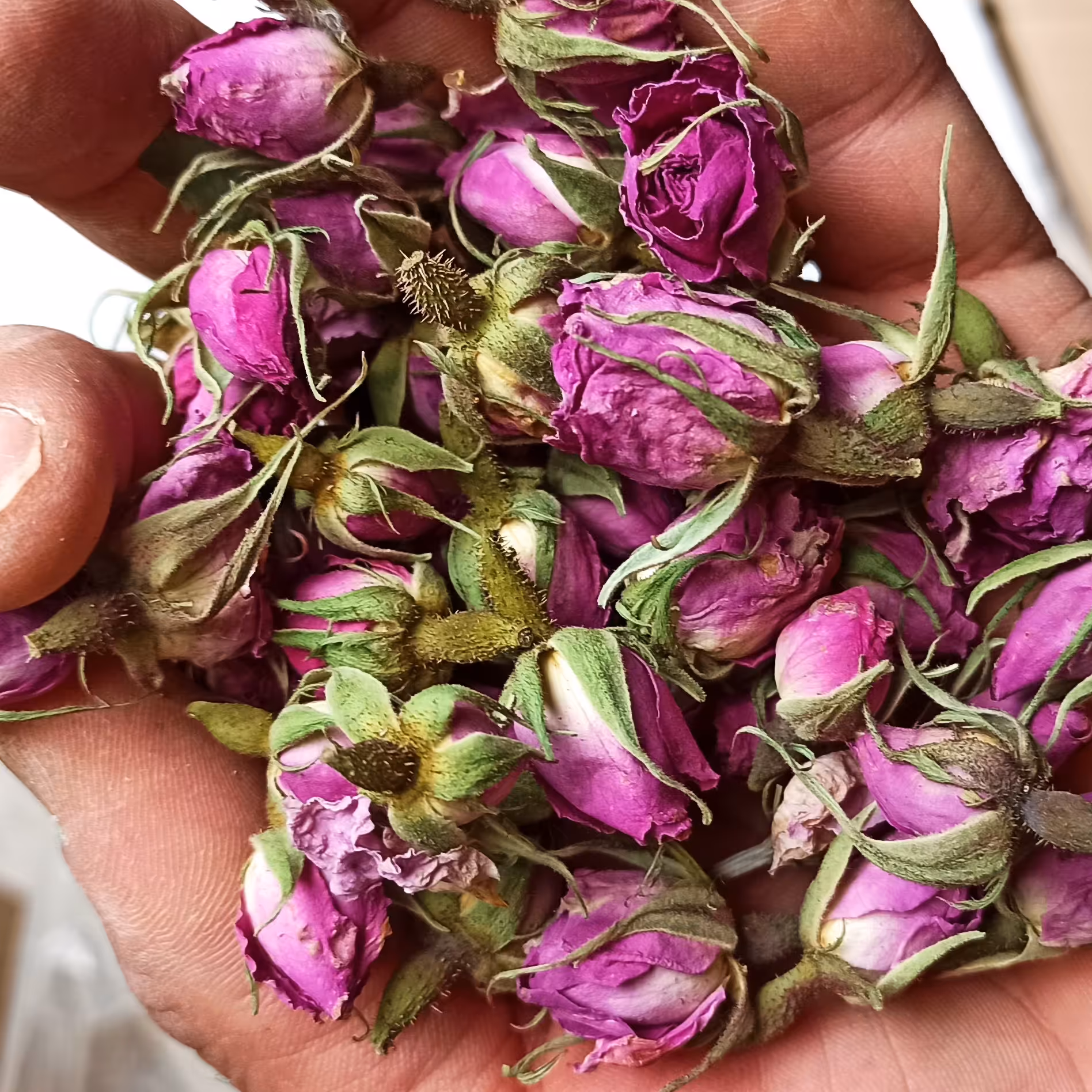 غنچه گل محمدی (نیم کیلویی)