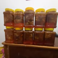 عسل وحشی سرخ جنوب