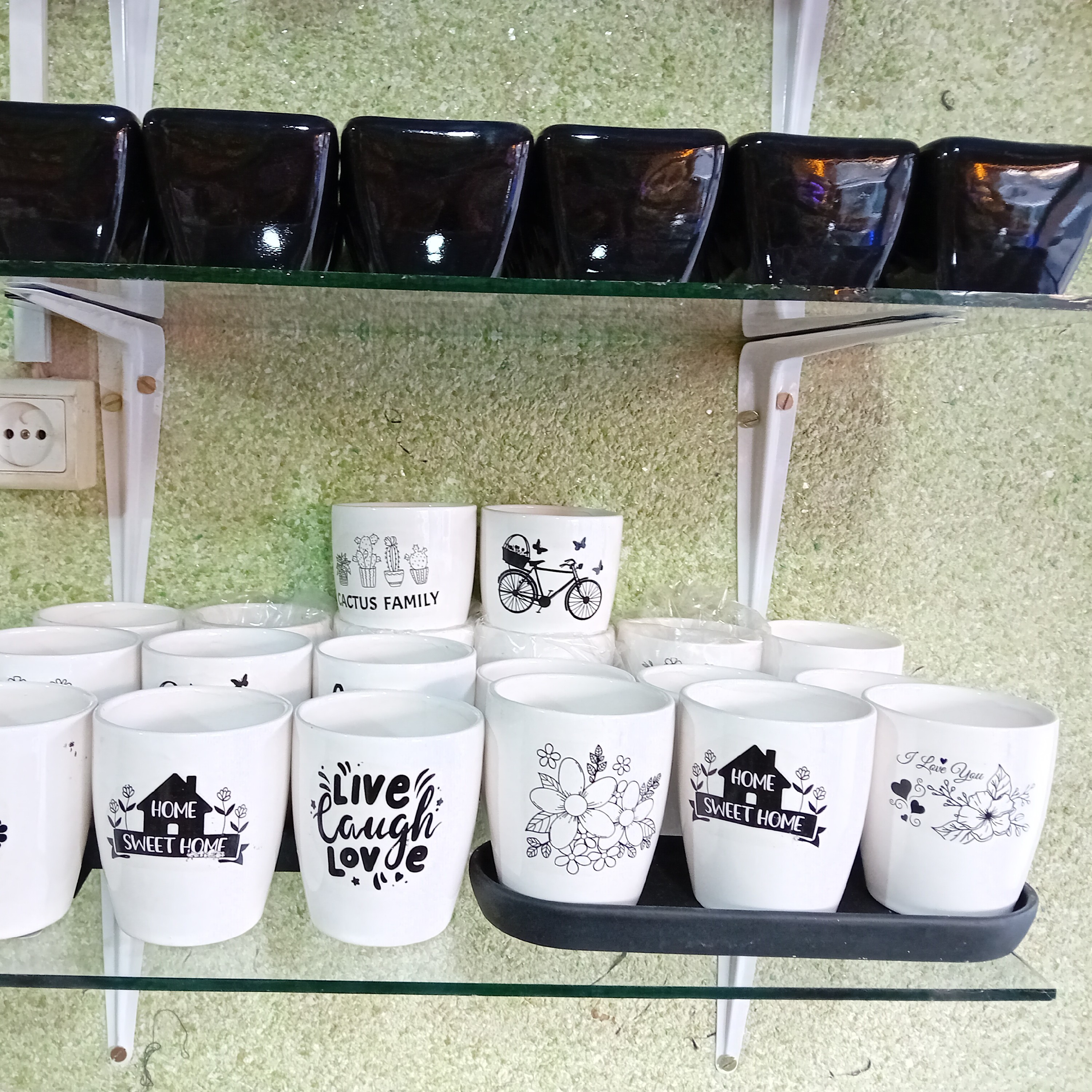 گلدان کاکتوس