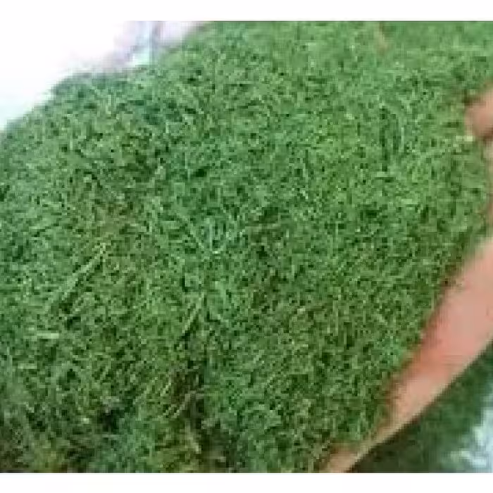 شوید خشک شسته  200 گرمی