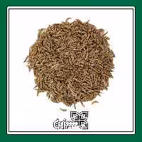 زیره سبز اعلا سبزین فله ای (500 گرمی)