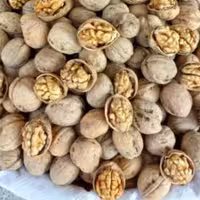 گردو پوست کاغذی همدان