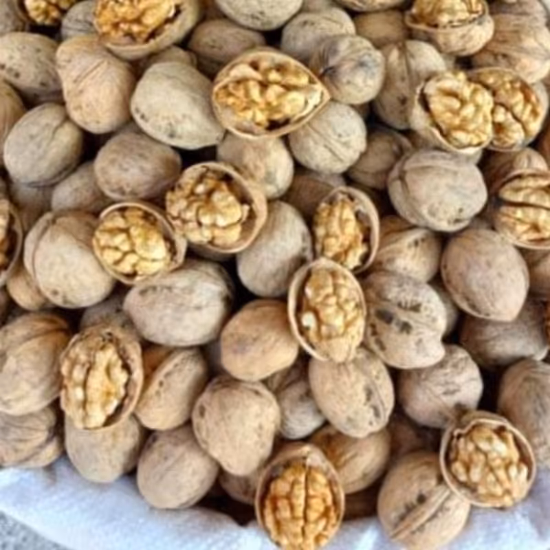 گردو پوست کاغذی همدان