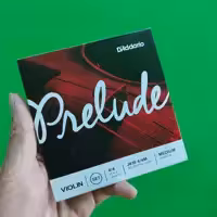 سیم ویلن   پریلود   داداریو     سیم ویولن