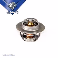 ترموستات دنا