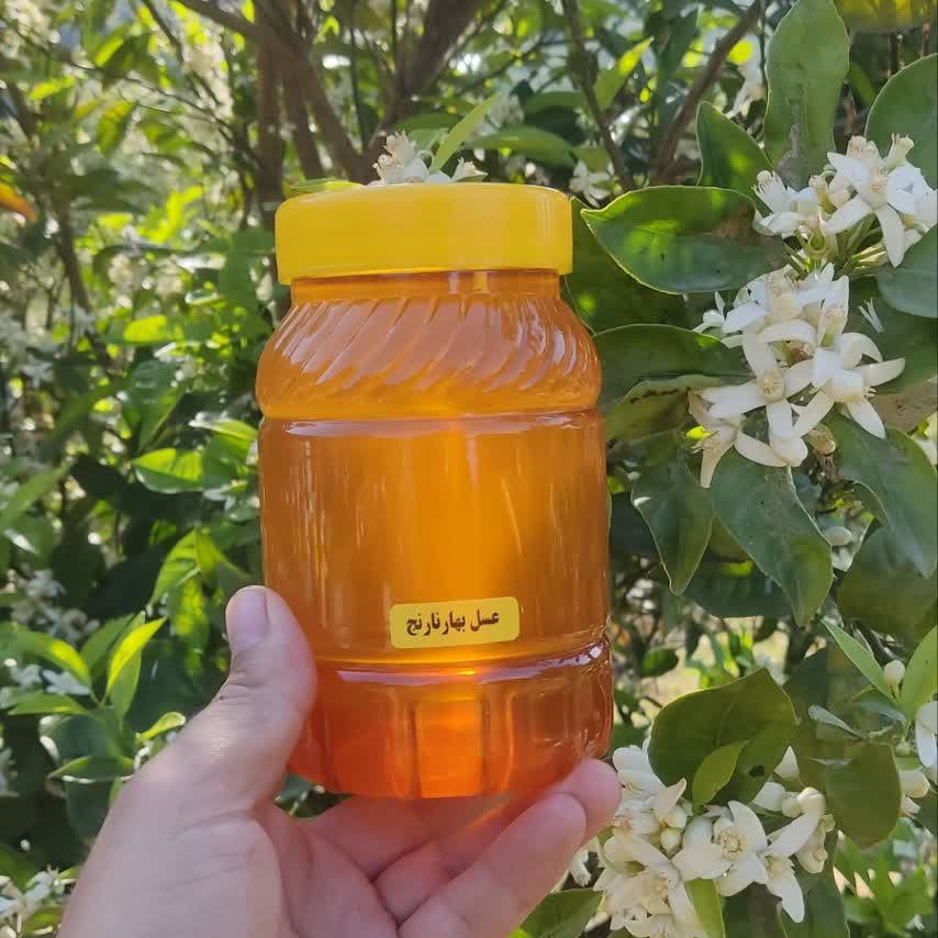 عسل طبیعی شکوفه بهار نارنج (یک کیلویی)ارسال رایگان