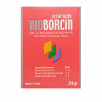 فروت ست موبورسین