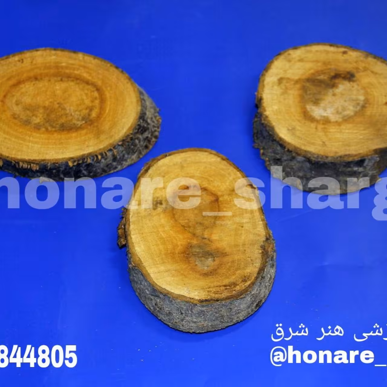 کنده های درخت