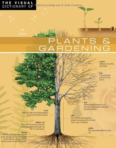 󾕇 دانلود کتاب The Visual Dictionary Of Plants &amp; Gardening, 2009 - دانلود کتاب های دانشگاهی