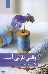 کتاب وقتی نازلی آمد اثر تکین حمزه لو انتشارات برکه خورشید