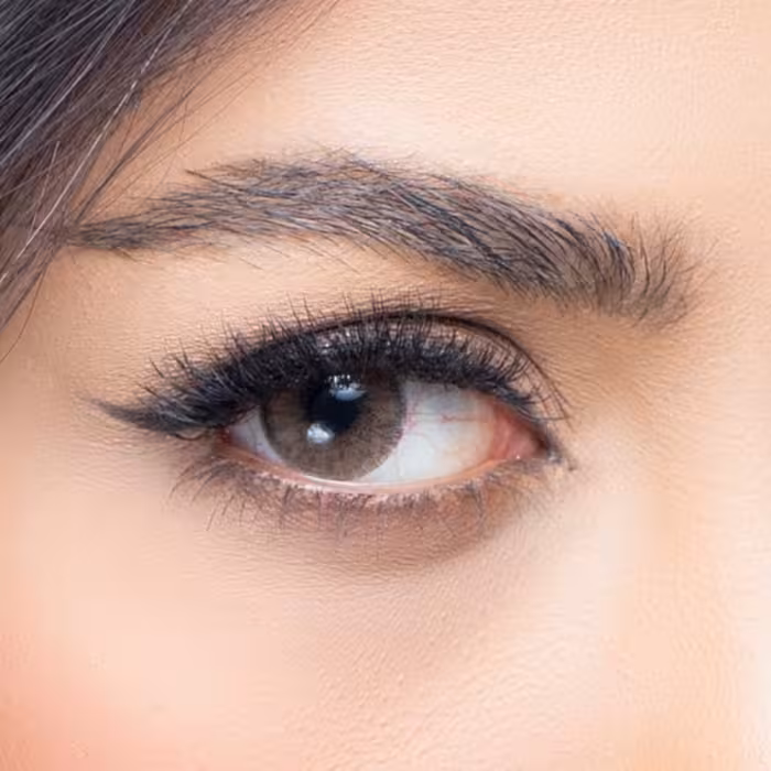 لنز چشم رویال ویژن رنگ قهوه ای شکلاتی دوردار