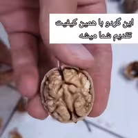 گردو پوست کاغذی   محلی کردستان  سال 1402  ارسال به سراسر ایران 